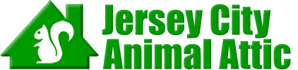 Jersey City Animal Attic